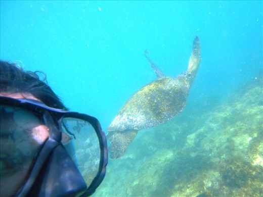 Jorje and Turtle selfie