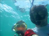 Jorje and Juanita snorkle selfie: by jorjejuanita, Views[144]