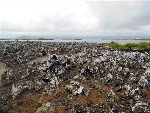 More moonscape, the locals call them ah ah rocks, because thats the sound you make when you walk on them.