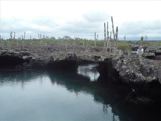 Note the giant cactus growing out of solid rock