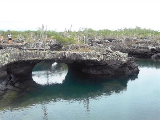 Natural bridges made for an intriguing walk. 