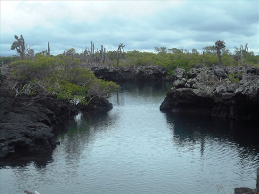 Stunning contrast with the crystal waters surrounded by rock but with trees growing out of them