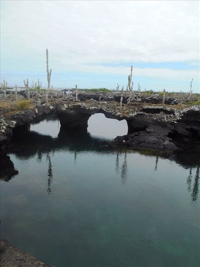 Los tunules from the land