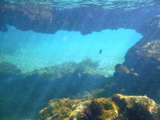 An example of the lava tunnels under water. Lots of swim throughs and places for sea life to hide