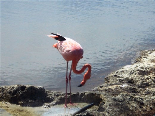 Getting some fresh water from a pipe feeding the lake