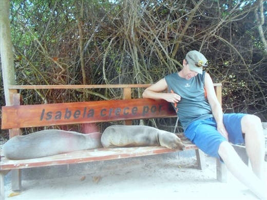 Jorje and some lazy new friends