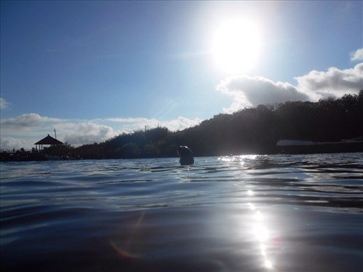 Both of us popping our heads up for a look