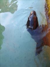 Cheeky little fella poking his head out from underneath a pontoon on Isabella: by jorjejuanita, Views[119]