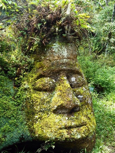 Stone carving on Floreana. There is no indigenous culture on the Galapagos, this is believed to have been carved by sailors in the 1800's