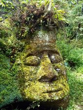 Stone carving on Floreana. There is no indigenous culture on the Galapagos, this is believed to have been carved by sailors in the 1800's: by jorjejuanita, Views[311]