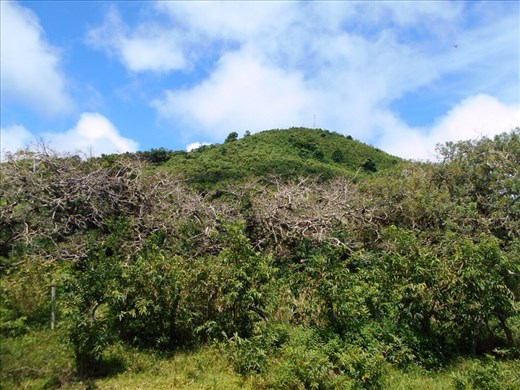 Climbing to the volcano on Isla Floreana 
