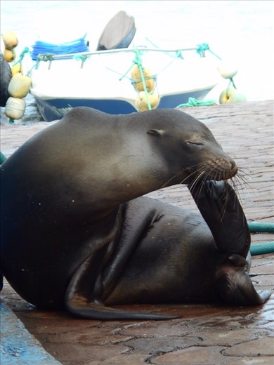 Just having a scratch, don't mind me