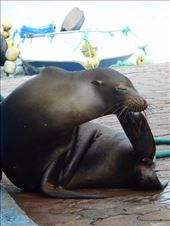 Just having a scratch, don't mind me: by jorjejuanita, Views[310]