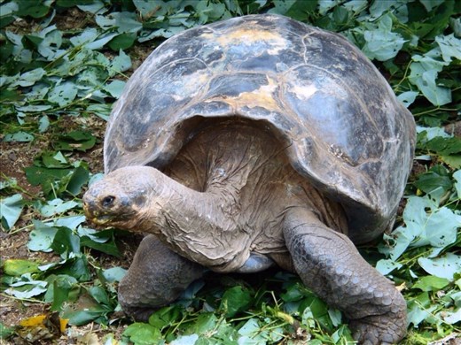 He's really come out of his shell recently