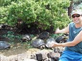 Jorje presents 'The Giant Galapagos Tortoises': by jorjejuanita, Views[345]