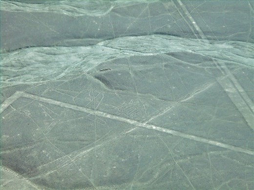 Spot 'the Whale' - hint - there is a road running through it. Its 65m across