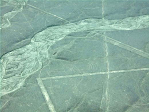 The Whale from a different angle. Sadly a lot of the roads were built before the discovery of the lines and before their importance was known