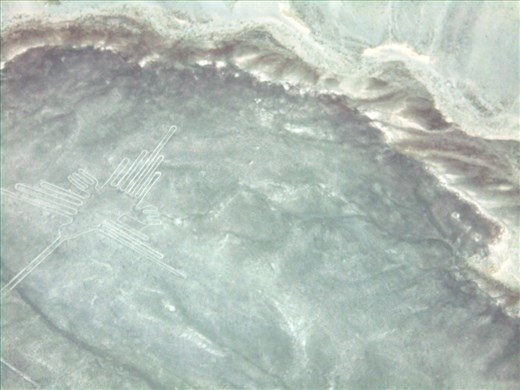 The Humming Bird again