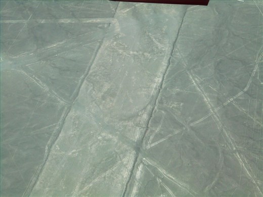 'The Spider' is one of the most famous lines. Its supposedly in the middle of this rectangle but we couldn't see it. Maybe the outside legs. The spider was important to the Incas because they believed that spiders could tell the future, this was because they always disappeared before it rains.