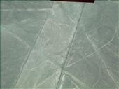 'The Spider' is one of the most famous lines. Its supposedly in the middle of this rectangle but we couldn't see it. Maybe the outside legs. The spider was important to the Incas because they believed that spiders could tell the future, this was because they always disappeared before it rains.: by jorjejuanita, Views[375]