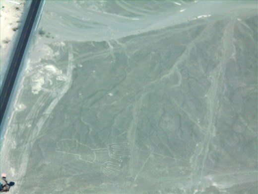 'The Hands' again has left science baffled, mostly due to the fact that one hand only has 4 fingers