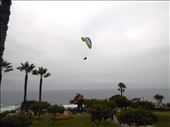 Very popular paragliding over the Miraflores coastline.: by jorjejuanita, Views[379]