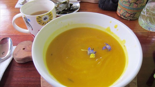 Green Point cafe in hippie San Blas. The best vegan and organic cafe ever. Pumpkin soup and coca tea for lunch.