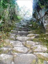 by jorjejuanita, Views[392]