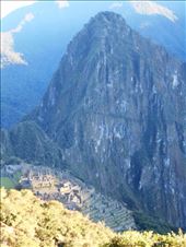 by jorjejuanita, Views[132]