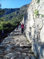 by jorjejuanita, Views[106]