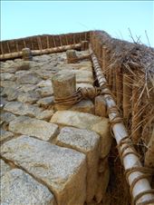 by jorjejuanita, Views[121]