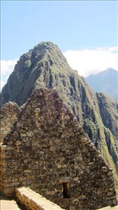 by jorjejuanita, Views[112]