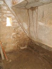 by jorjejuanita, Views[152]