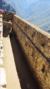 by jorjejuanita, Views[113]