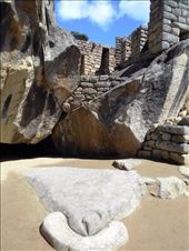 by jorjejuanita, Views[132]