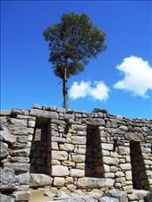 by jorjejuanita, Views[137]