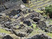 Ever continuing restoration and recovery work goes on at Machu Picchu: by jorjejuanita, Views[233]