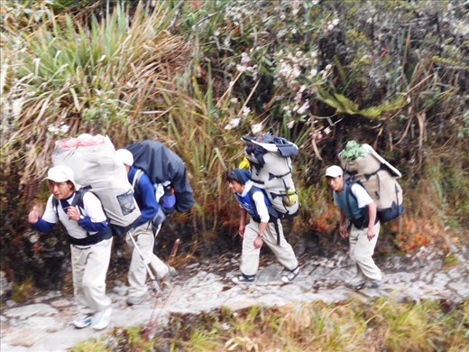 Our porters lugging the camp and supplies