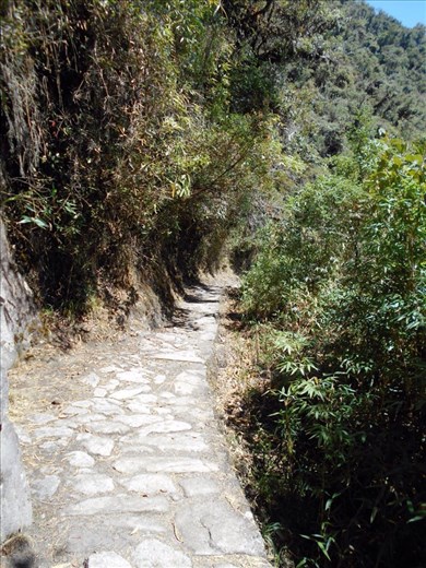 Original Inka Stones