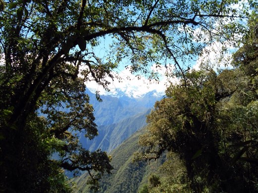 Through the Jungle and over the mountains