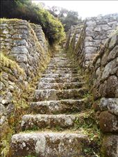 Winay Wayna Staircase: by jorjejuanita, Views[157]