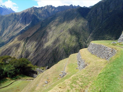 Terraces at Winay Wayna
