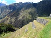 Terraces at Winay Wayna: by jorjejuanita, Views[185]