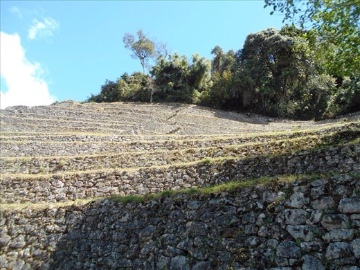 Looking to the top of Winay Wayna