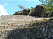Looking to the top of Winay Wayna: by jorjejuanita, Views[187]