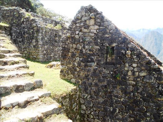 Houses incorporated into terraces were double story