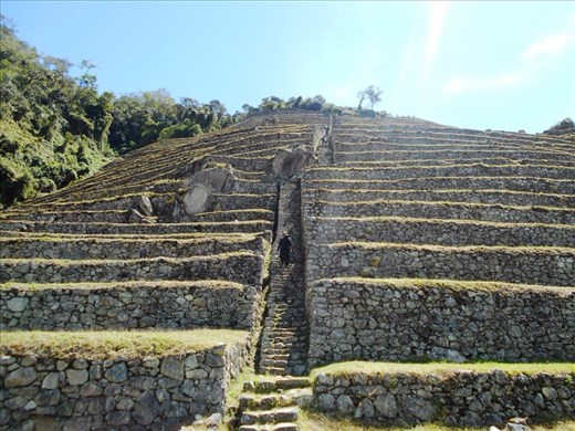 Winay Wayna Terraces