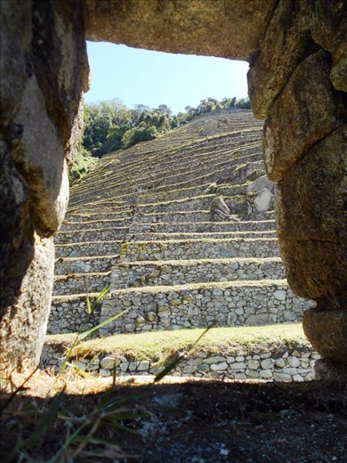 Looking up the terraces at Winay Wayna