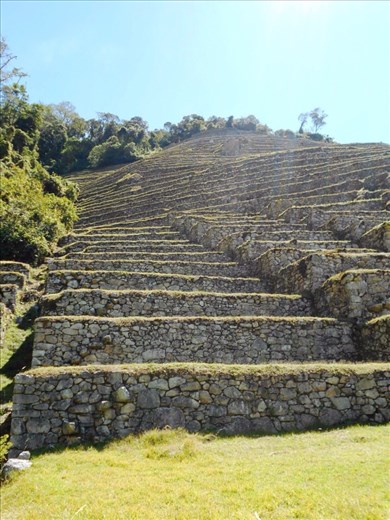 The bottom of Winay Wayna