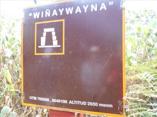 Winyawayna campsite